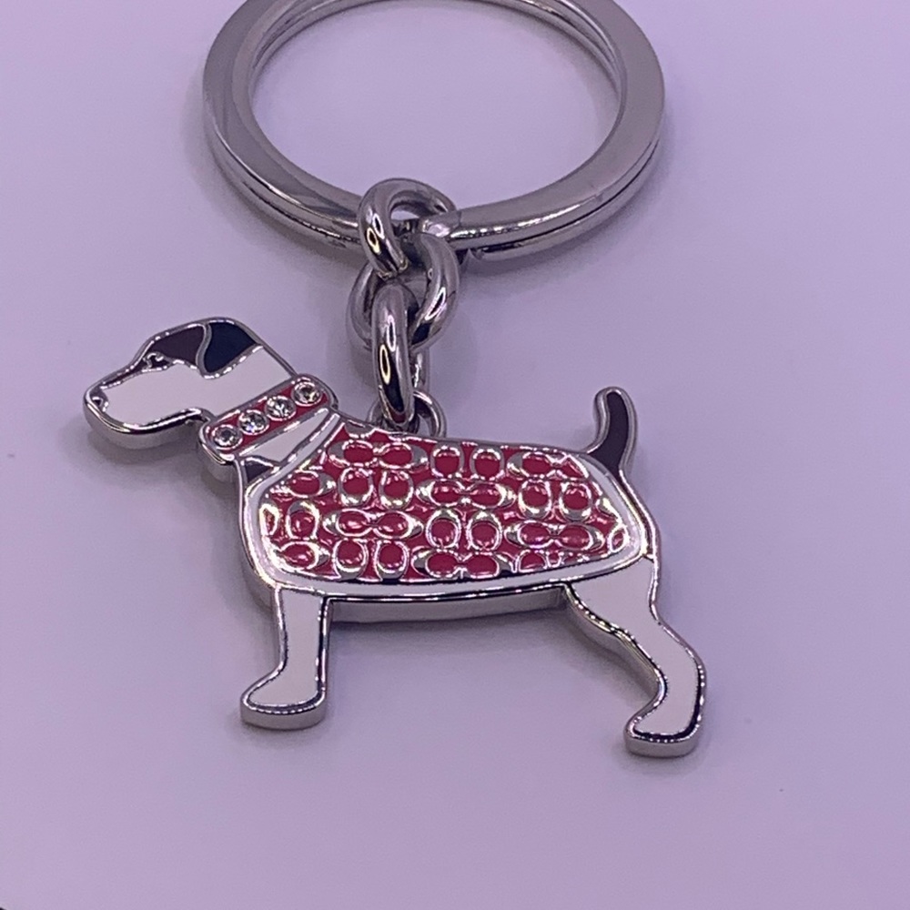 Coach Dog Signature Keychains